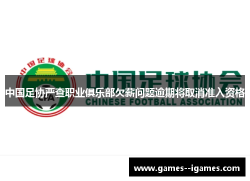 中国足协严查职业俱乐部欠薪问题逾期将取消准入资格